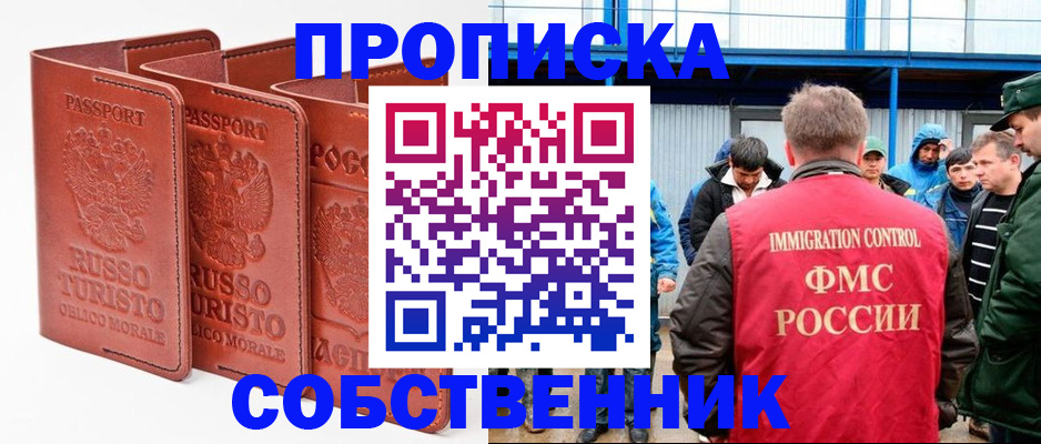 прописка поиск в Шали